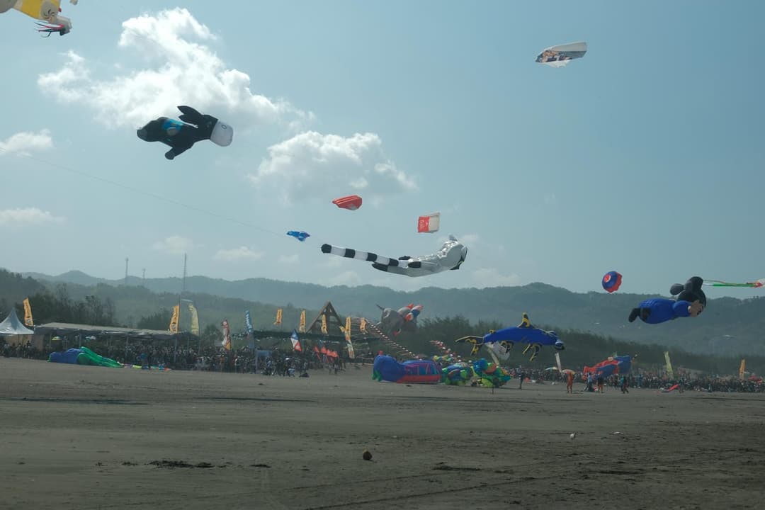 Gallery image 10