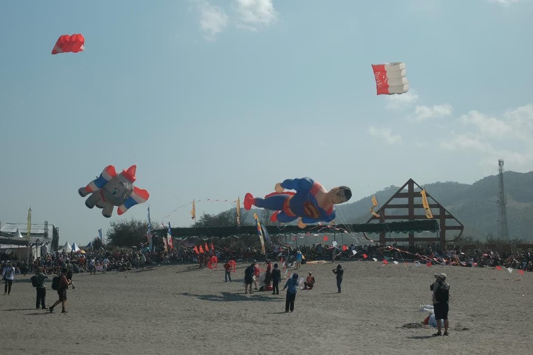 Gallery image 9